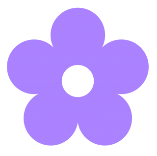 This One Was Made Using More Petals And Stretched Further This One PNG images