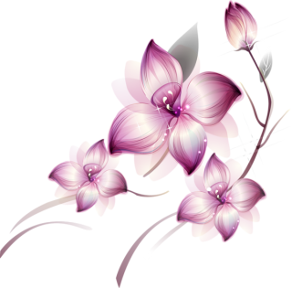 Violet Lotus Flower Transparent Background Uffbits™ PNG images