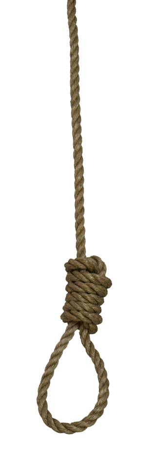 Rope Png Download PNG images