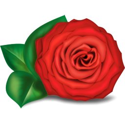 Icon Photos Rose PNG images