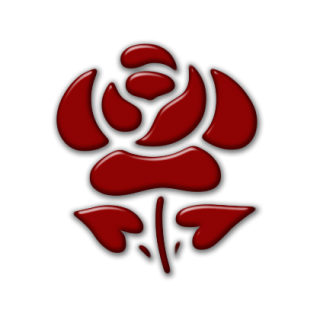 Icon Size Rose PNG images