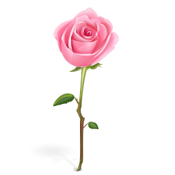Pictures Icon Rose PNG images