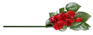 Clipart Rose Png Best PNG images
