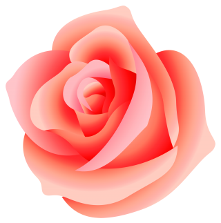 Get Rose Png Pictures PNG images
