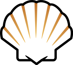 Picture Download Seashell PNG images