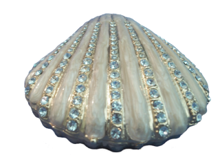Best Seashell Clipart Png PNG images