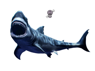 Scary Great White Shark Png PNG images