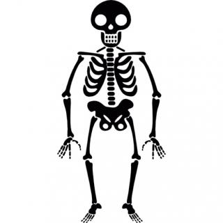 Halloween Skeleton Icons PNG images