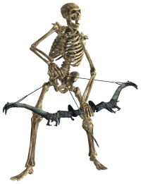 Photos Skeleton Icon PNG images