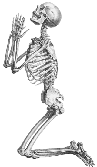 Skeleton, Skull And Transparent PNG images
