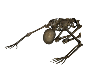 Skeleton Worshiping Png PNG images