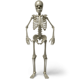 Standing Skeleton Icon PNG images