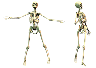 Singing Skeleton PNG PNG images