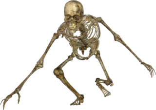 Skeleton 049 Png PNG images