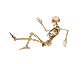 Skeleton Dancing PNG PNG images