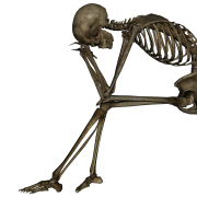 Thinking Skeleton Png PNG images
