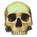 Skull Save Icon Format PNG images