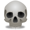 Free High-quality Skull Icon PNG images