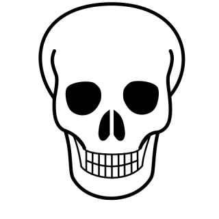 Icons Png Skull Download PNG images