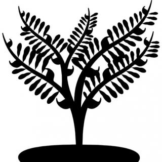 Download Icon Small Tree PNG images