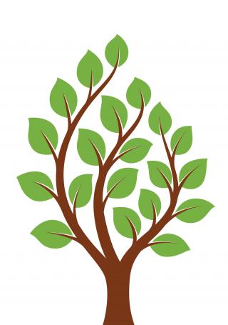 Free Icon Download Small Tree Vectors PNG images