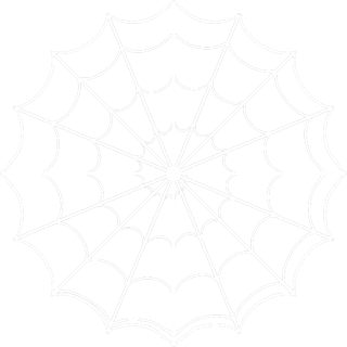 White Spider Web Png PNG images