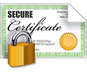Ssl Encryption Icon Vector PNG images