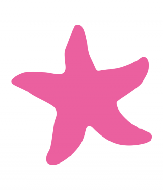 Download And Use Starfish Png Clipart PNG images