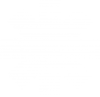 Related White Star Vector Star Png Transparent Background Star Png PNG images