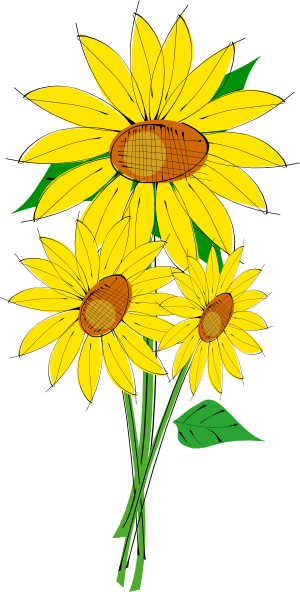 Single Sunflower Png PNG images