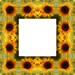 Clipart Sunflower Png Best PNG images