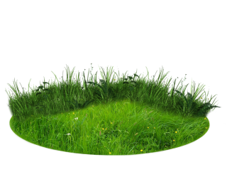 There Grass Png PNG images