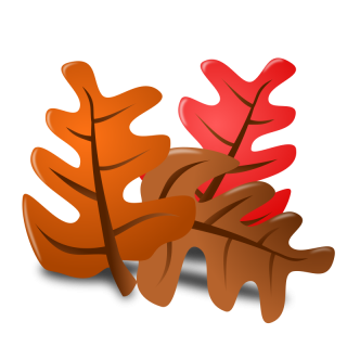 Pic Thanksgiving PNG PNG images