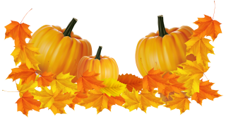 Get Thanksgiving Png Pictures PNG images