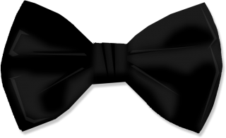 Bow Tie Vector Png PNG images