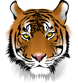Tiger Head Png PNG images