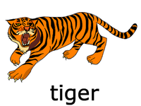Best Free Tiger Png Image PNG images