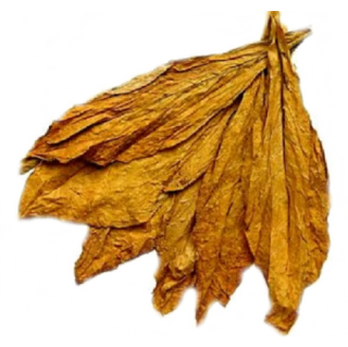 Tobacco Leaf Picture PNG images