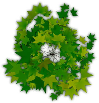 Trees Top Png PNG images