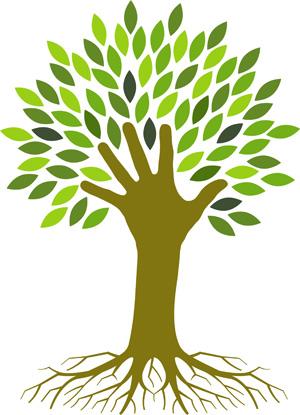 Img Tree Icon PNG images