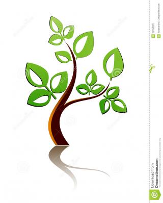 Tree Icon Royalty Free Stock Photo Image: 19190525 PNG images