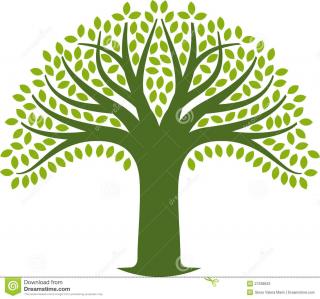 Tree Icon Photos PNG images