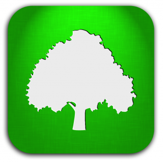 Tree Icon Tree Plan Tree Icon Png PNG images