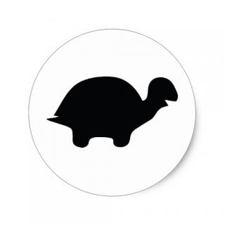 Photos Icon Turtle PNG images