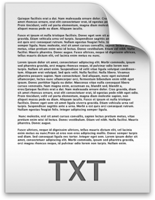 Document Text File Txt / Filecons Light / 96px / Icon Gallery PNG images