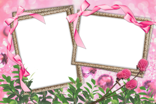 Video Frame Pattern Flowers And Table Images PNG images