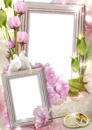 High-quality Wedding Frame Cliparts For Free! PNG images