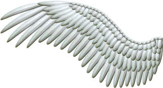 White Angel Wings Png PNG images