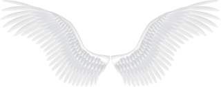 Background Png Hd Wings Transparent PNG images