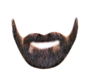 Download Picture Beard #44585 - Free Icons and PNG Backgrounds